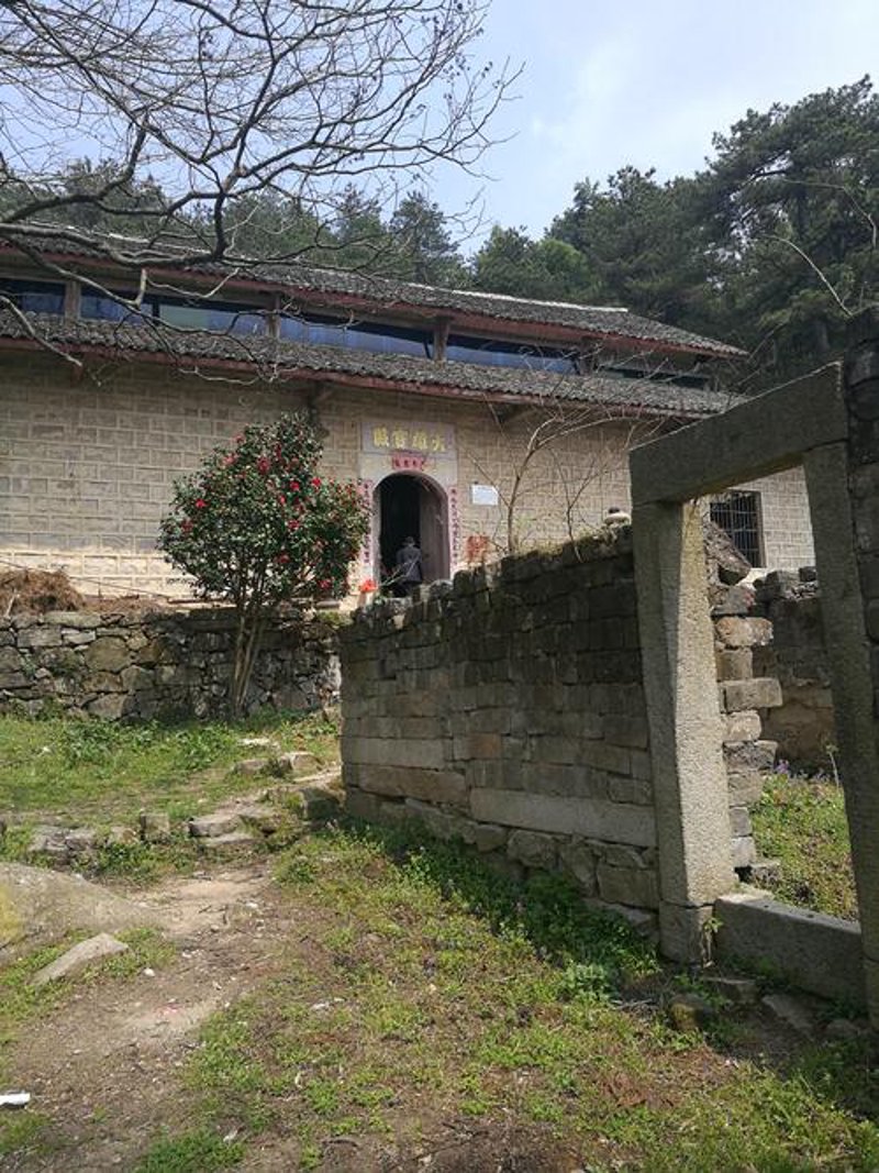 蕲春纸箱厂：行业变革中的探索与挑战